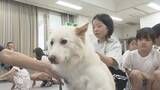 「捨てた飼い主は“書類送検”も…捨てられた側のペットたちはその後どうなるのか 動物愛護センターで「いのちの教室」」の画像1
