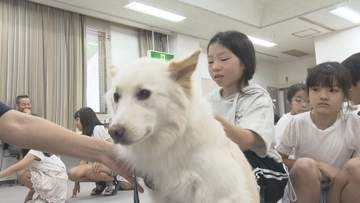 捨てた飼い主は“書類送検”も…捨てられた側のペットたちはその後どうなるのか 動物愛護センターで「いのちの教室」