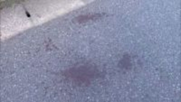 頭をブロック塀に打ち付け…殺人未遂疑いで男（70）逮捕　車同士のトラブルで口論に　千葉・習志野市