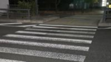 豊洲市場近くの路上で女性が倒れ重体　トラックによるひき逃げか　東京・江東区