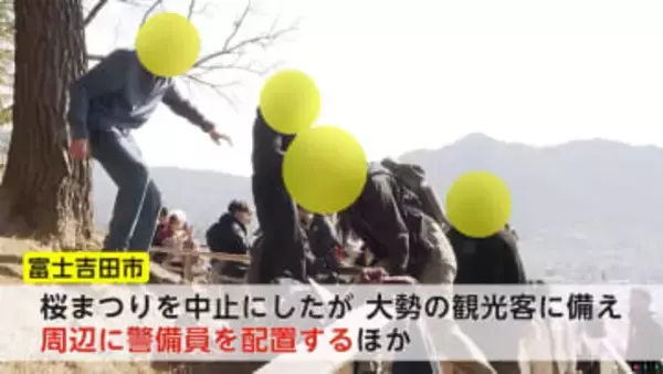 「市民の暮らしが脅かされている」富士山一望の絶景スポットに観光客殺到…住宅の無断侵入やポイ捨て横行　市は「桜まつり」中止を決定