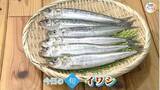 「脂のり抜群な旬の魚「イワシ」　“身近で貴重”な青魚をショウガ煮で味わう【瀬戸内旬紀行　岡山・香川発】」の画像1