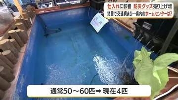 【地震の影響】錦鯉50匹→わずか4匹に　地震で九州の物流まひ　鹿児島ホームセンターに異変