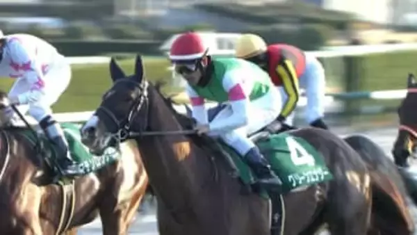 【京成杯・GⅢ&日経新春杯・GⅡ】春GIかけた大冒険！京成杯はグリーンエナジーが制し、戸崎圭太騎手 17年連続重賞制覇！日経新春杯は4歳ゲルチュタールが重賞初タイトル！