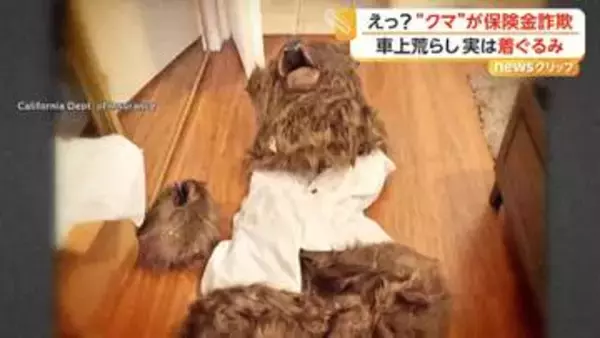 “クマが車上荒らし”で保険金不正請求の男らに禁錮刑と賠償命令　「爪痕」から自作自演が発覚　アメリカ