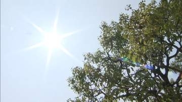 【速報】酷暑日が今年最多　すでに5地点で40度を超える　さらに増える可能性も
