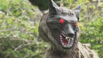 「お前だけは許さない！」クマを寄せ付けない“モンスターウルフ”で新対策　ファミリーマートで初の実証実験開始