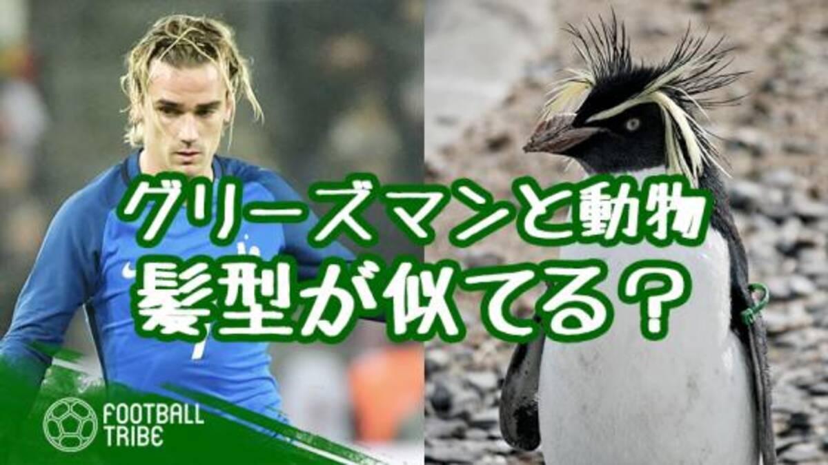 グリーズマンの髪型は動物にそっくり 過去のヘアスタイルを振り返る 19年4月13日 エキサイトニュース