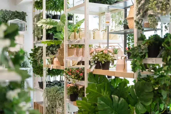 「IKEA渋谷のリニューアルエリアが完成。日本の都心型店舗初となる個人・法人のいずれにも対応したインテリアデザインサービスエリアを新設」の画像