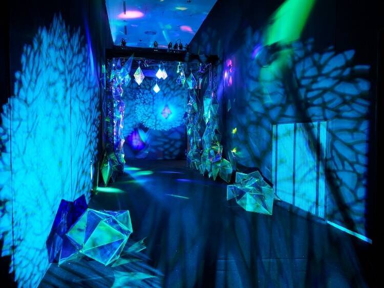 Mrs. GREEN APPLEの10年を辿る“創造の旅”。 大森元貴の内なる世界へ誘う展覧会『Wonder Museum』が開幕