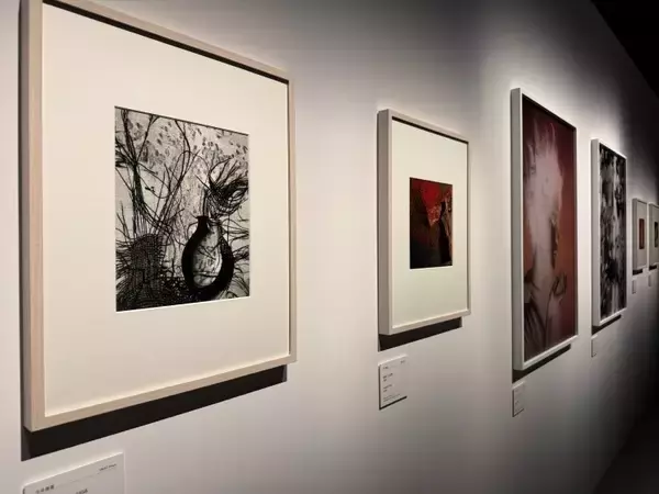 「世界が見つめ直した日本女性写真家たち──「まなざしの奇跡」が渋谷で問いかける写真の現在地」の画像