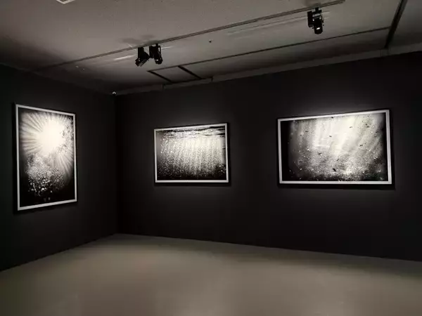 「世界が見つめ直した日本女性写真家たち──「まなざしの奇跡」が渋谷で問いかける写真の現在地」の画像