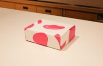 日本の包装の美学：視覚、所作、こころの美