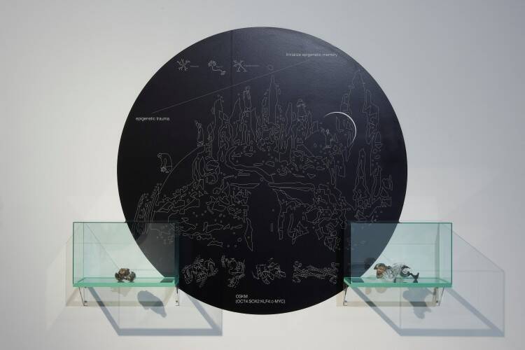TERRADA ART AWARD 2025、審査員賞が決定──天王洲で開かれるファイナリスト展が示す、いまの表現の現在地