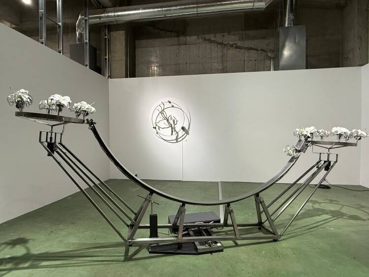 TERRADA ART AWARD 2025、審査員賞が決定──天王洲で開かれるファイナリスト展が示す、いまの表現の現在地