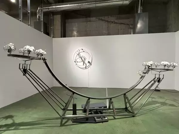 「TERRADA ART AWARD 2025、審査員賞が決定──天王洲で開かれるファイナリスト展が示す、いまの表現の現在地」の画像