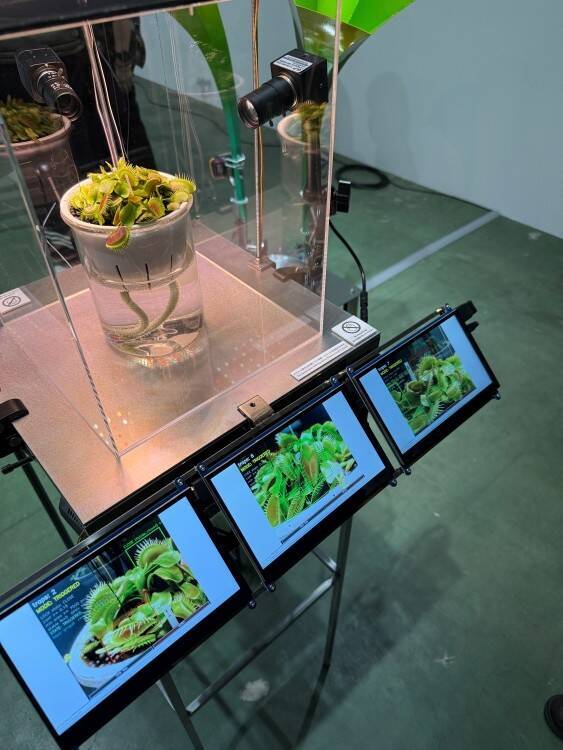 TERRADA ART AWARD 2025、審査員賞が決定──天王洲で開かれるファイナリスト展が示す、いまの表現の現在地