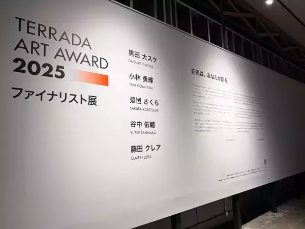 「TERRADA ART AWARD 2025、審査員賞が決定──天王洲で開かれるファイナリスト展が示す、いまの表現の現在地」の画像