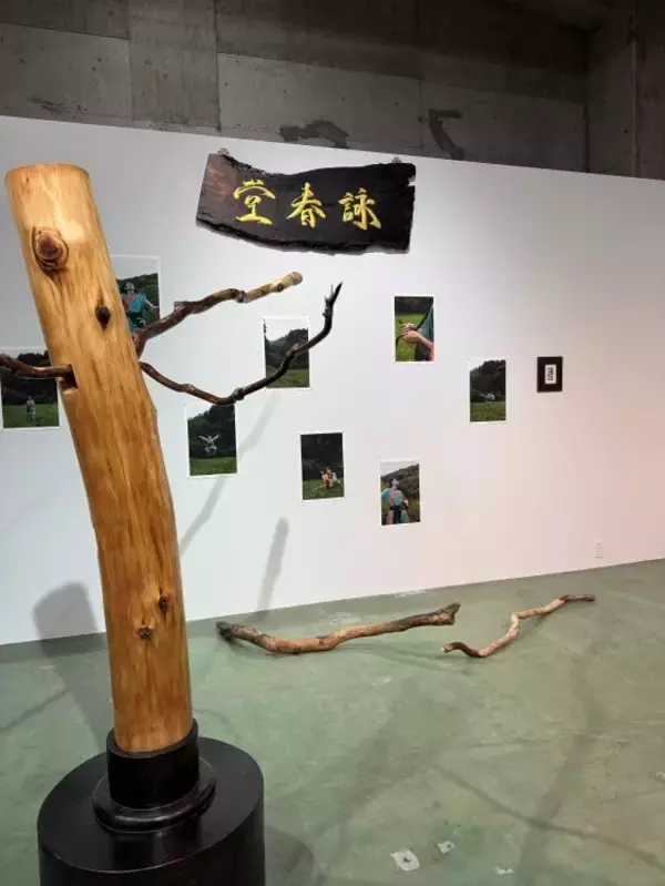 「TERRADA ART AWARD 2025、審査員賞が決定──天王洲で開かれるファイナリスト展が示す、いまの表現の現在地」の画像