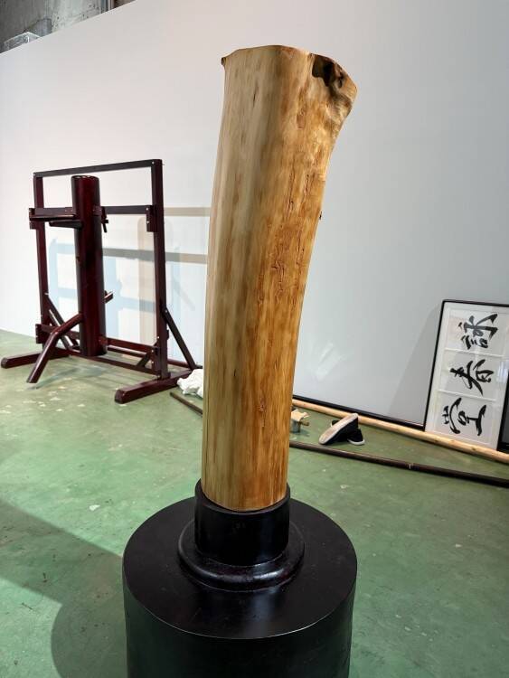 TERRADA ART AWARD 2025、審査員賞が決定──天王洲で開かれるファイナリスト展が示す、いまの表現の現在地