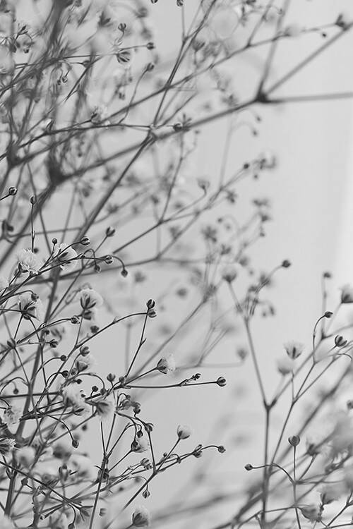 Our Beauty Story【 vol.5_ADDICTION × 花 】