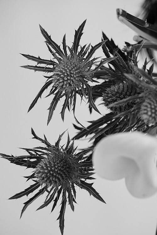 Our Beauty Story【 vol.5_ADDICTION × 花 】