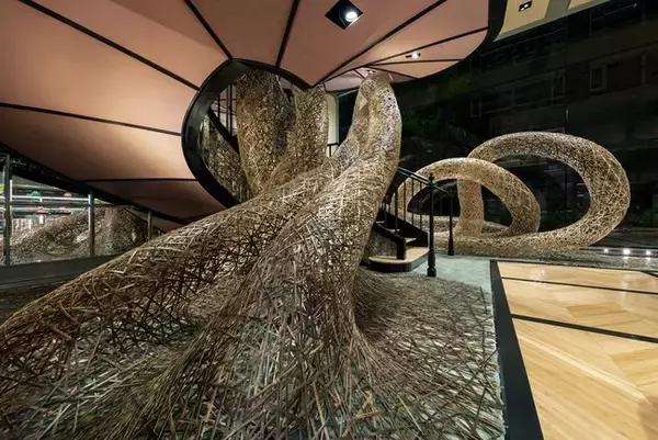 「グッチ並木が一周年。バンブーをテーマに四代田辺竹雲斎氏によるインスタレーションがスタート」の画像