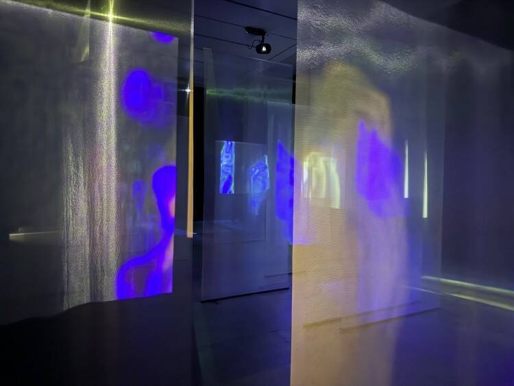 建築を遠くに投げるということ——「波板と珊瑚礁」が示す、思考としての建築