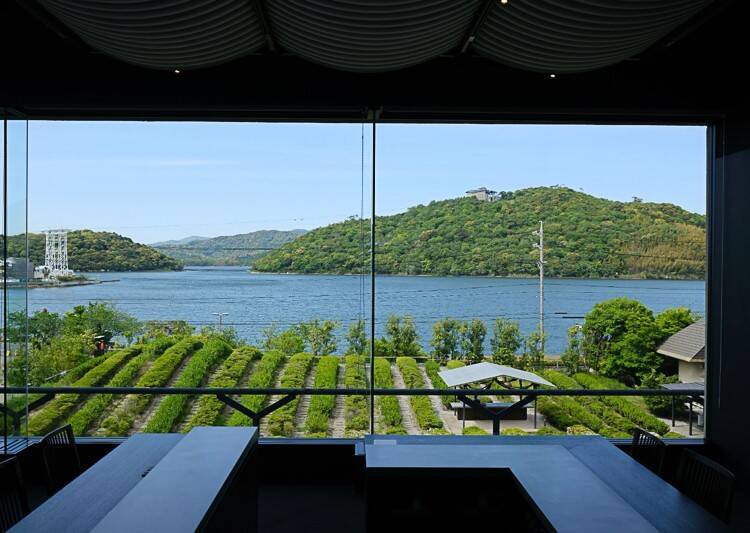 煎茶という日本茶のかたち — 静岡で体験する、茶葉から一杯までのストーリー —