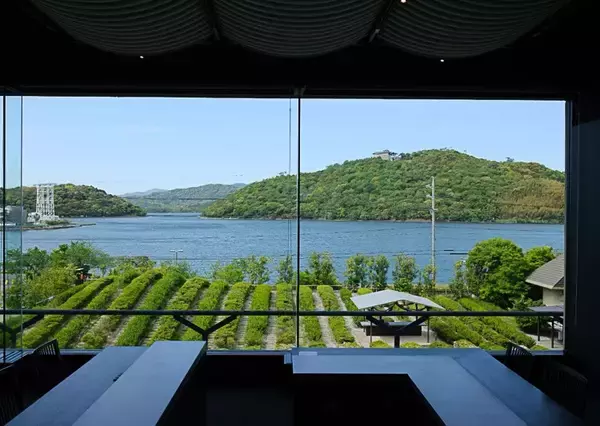 「煎茶という日本茶のかたち — 静岡で体験する、茶葉から一杯までのストーリー —」の画像