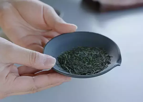 「煎茶という日本茶のかたち — 静岡で体験する、茶葉から一杯までのストーリー —」の画像