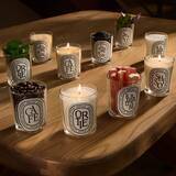 「ディプティック、60年の美学を更新──クラシックキャンドルが進化、「香りのハーバリウム」に新たな5つの香り」の画像4