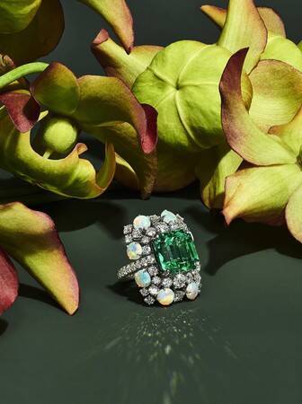 ティファニーの新作ハイジュエリーコレクションに自然界の花々に着想を得た新作ピースを発表