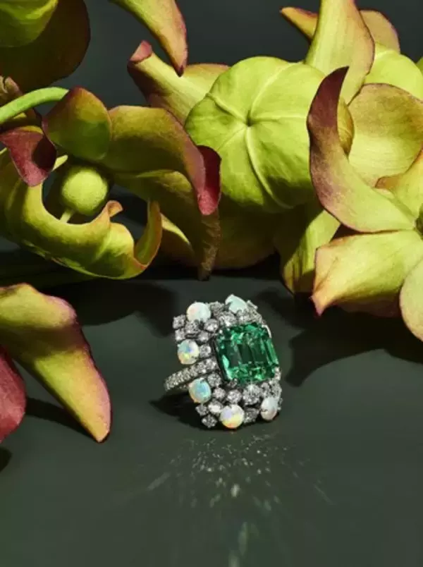 「ティファニーの新作ハイジュエリーコレクションに自然界の花々に着想を得た新作ピースを発表」の画像