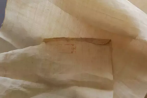 「麻世妙、よみがえる大麻布～聖なる植物、大麻の歴史～【前編】」の画像