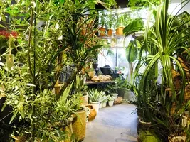 アジサイと水生植物のある風景 フラワーショップ フーガ が代官山蔦屋書店で展示会 15年6月15日 エキサイトニュース