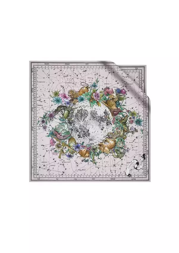 「ディオール クルーズ 2022 コレクションに欠かせないアクセサリー「シルクスカーフ」」の画像