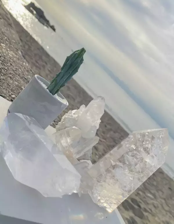 「伊勢丹新宿店「ISETAN Seed」でウェルビーイングな暮らしを提案するプロモーションを開催」の画像