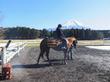「澄み渡る富士の麓で、サラブレッドに乗る―朝霧高原「エクインホリック」【富士の旅vol.2】」の画像5