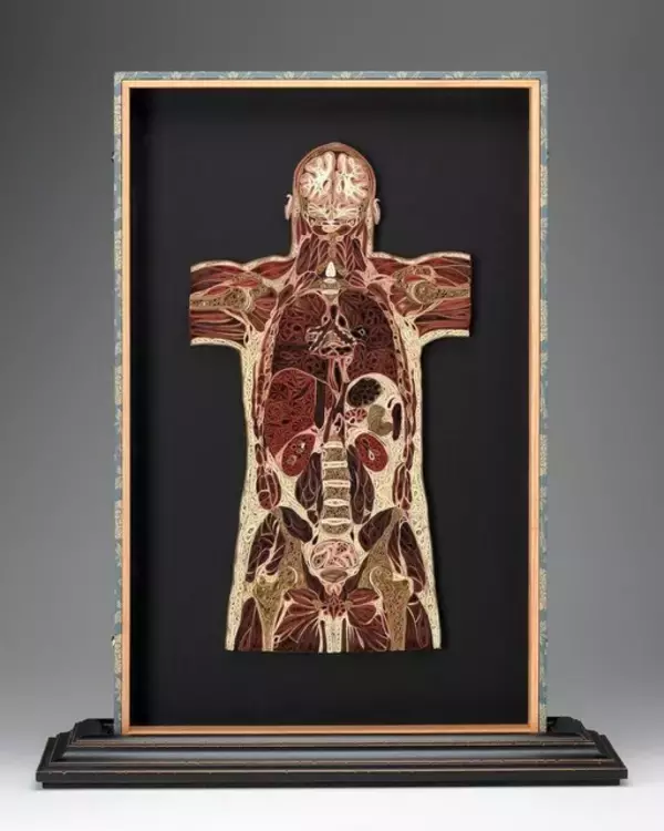 「紙を丸める“クイリング”アートで解剖図を表現。和紙の色調を巧みに操るアメリカ人アーティスト」の画像