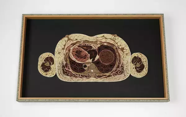 「紙を丸める“クイリング”アートで解剖図を表現。和紙の色調を巧みに操るアメリカ人アーティスト」の画像
