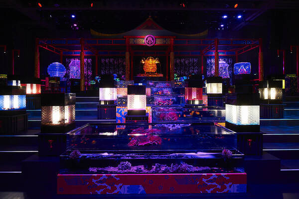 日本橋アートアクアリウム 今年は 龍宮城 8 000匹の観賞魚と映像が織り成す幻想世界へ 17年7月10日 エキサイトニュース