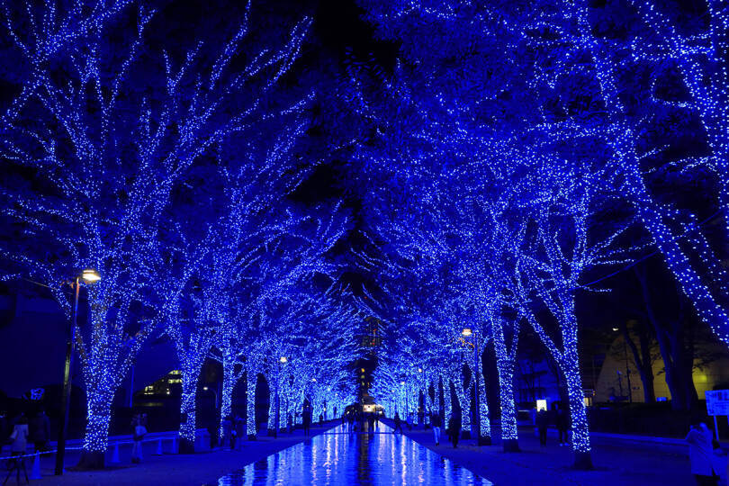 更新 イルミネーションイベント 青の洞窟 Shibuya クリスマス期間中にはピアノの生演奏で更にロマンティックな空間に 18年12月19日 エキサイトニュース