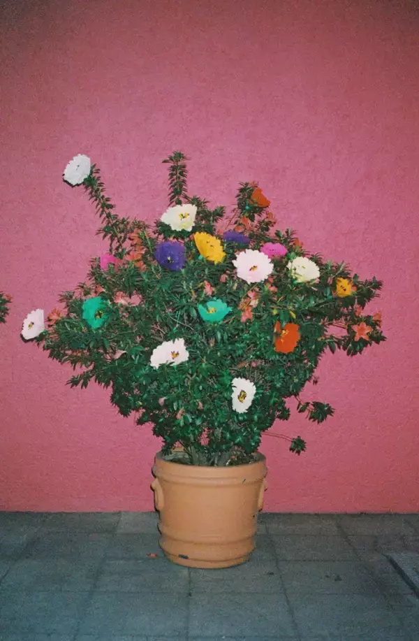 「DEPTオーナーeriとフローリスト越智康貴の雑貨店「ドナドナ トーキョー」が原宿にオープン」の画像