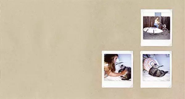 「写真家夫妻エド・テンプルトンとディアナ・テンプルトンの新作【ShelfオススメBOOK】」の画像