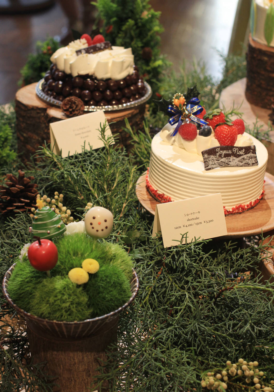 見た目 可愛い 味 サプライズ アンダーズ 東京のクリスマスケーキ 19年クリスマスケーキ 19年10月3日 エキサイトニュース 3 3