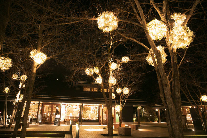 東京から片道1時間半の週末トリップ、軽井沢女子旅【話題の星野リゾート BEB5軽井沢に行ってみた：前編】