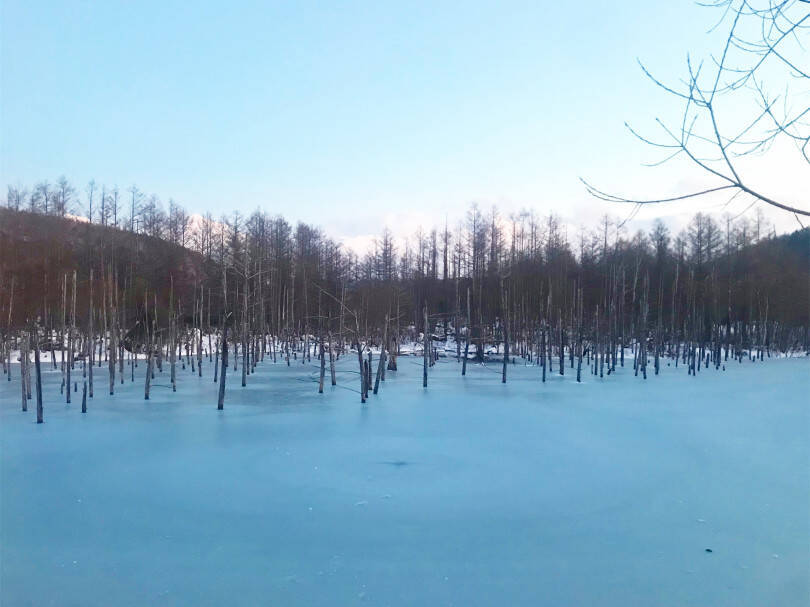 冬の北海道へトリップ! 雪・星空・食を堪能する「デジタルデトックス」の一人旅【EDITOR'S BLOG】