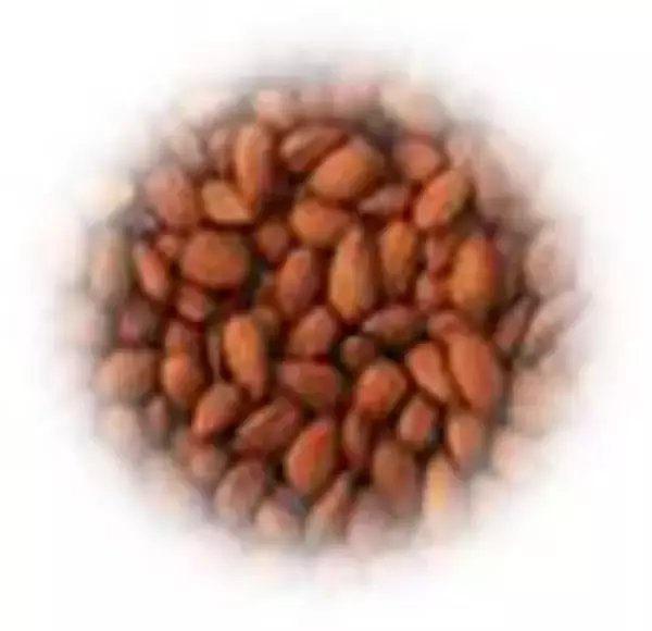 「アヴェダの人気シリーズ「チェリー アーモンド」にボディケアラインが仲間入り」の画像