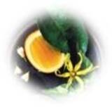 「アヴェダの人気シリーズ「チェリー アーモンド」にボディケアラインが仲間入り」の画像5